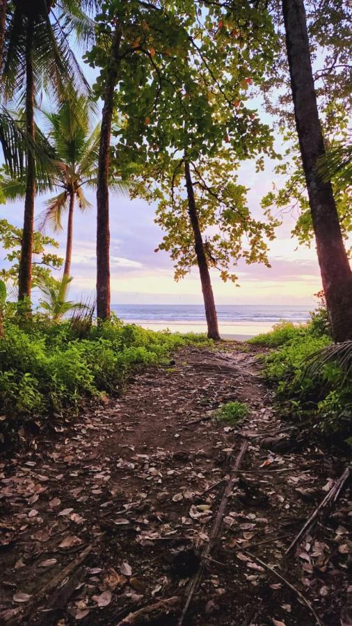 Uvita River Guesthouse エクステリア 写真